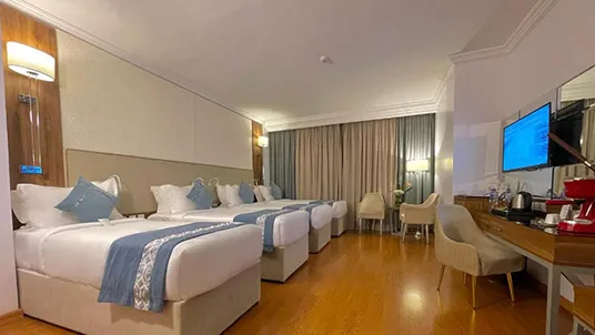 Ritz al Madinah
